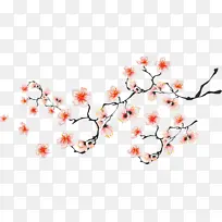 樱花 切花 花朵-空若网 樱花 切花 花朵-空若网