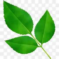 水彩画 颜料 湿墨-空若网 水彩画 颜料 湿墨-空若网