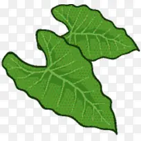 叶 植物茎 树-空若网 叶 植物茎 树-空若网