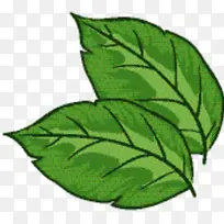 叶子 绿色 草本植物-空若网 叶子 绿色 草本植物-空若网