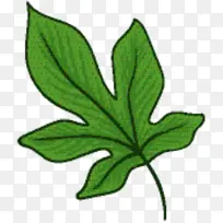 叶 植物茎 开花植物-空若网 叶 植物茎 开花植物-空若网