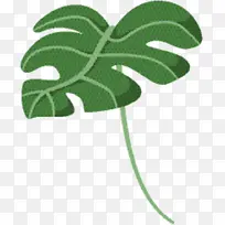 叶 植物茎 开花植物-空若网 叶 植物茎 开花植物-空若网