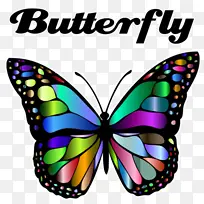 ���� ���� ��������-������