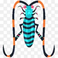 昆虫 膜 动物-空若网 昆虫 膜 动物-空若网