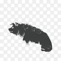 澳大利亚牧羊犬 胡须 鼻子-空若网 澳大利亚牧羊犬 胡须 鼻子-空若网