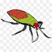 象鼻虫 昆虫 传粉者-空若网 象鼻虫 昆虫 传粉者-空若网