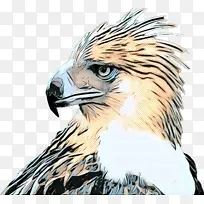 �������� ���� ͺӥ-������