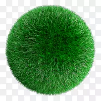 Çò×´²ÝƺÇò-²Ý-¿ÕÈôÍø Çò×´²ÝƺÇò-²Ý-¿ÕÈôÍø