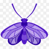 昆虫 紫色 膜-空若网 昆虫 紫色 膜-空若网