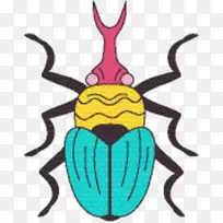 昆虫 膜 对称性-空若网 昆虫 膜 对称性-空若网