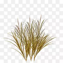 纹理映射草坪桌面壁纸-草-空若网 纹理映射草坪桌面壁纸-草-空若网