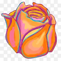 植物 橙色 花-空若网 植物 橙色 花-空若网