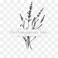 »æ» Ë®²Ê» ˮī-¿ÕÈôÍø »æ» Ë®²Ê» ˮī-¿ÕÈôÍø