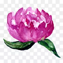 ����ֲ�����õ�����ĵ��-������