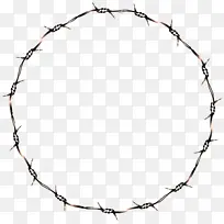 铁丝网 树枝 栅栏-空若网 铁丝网 树枝 栅栏-空若网