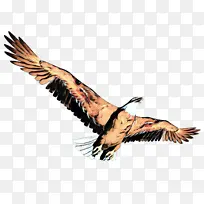 �������� ���� ��ӥ-������