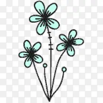 切花 植物茎 昆虫-空若网 切花 植物茎 昆虫-空若网