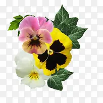 剪贴簿 三色堇 爱好-空若网 剪贴簿 三色堇 爱好-空若网