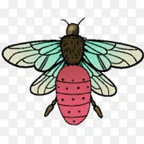 刷足蝴蝶 飞蛾 昆虫-空若网 刷足蝴蝶 飞蛾 昆虫-空若网