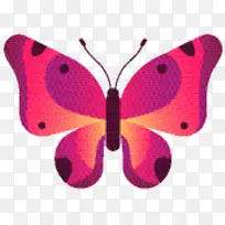 刷足蝴蝶 对称 蝴蝶-空若网 刷足蝴蝶 对称 蝴蝶-空若网