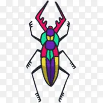 昆虫膜-空若网 昆虫膜-空若网