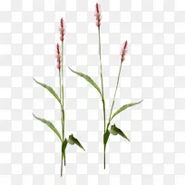 ���� ���˹�˾ ��-������