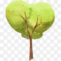 ��֦ ֲ�ﾥ Ҷ-������