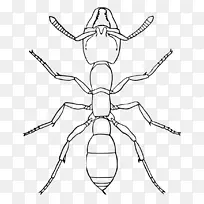 ���Ӷ��� ���� �Ϸ��ַ�ʭ-������