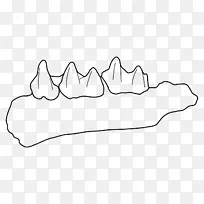 鞋子 手指 角度-空若网 鞋子 手指 角度-空若网