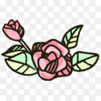 �������� ˢ����� �Գ�-������