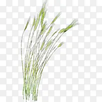 水彩画 颜料 湿墨-空若网 水彩画 颜料 湿墨-空若网