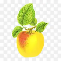 水彩 油漆 湿墨水-空若网 水彩 油漆 湿墨水-空若网