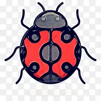 女士鸟 昆虫 甲虫-空若网 女士鸟 昆虫 甲虫-空若网