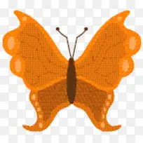 刷足蝴蝶 飞蛾 对称-空若网 刷足蝴蝶 飞蛾 对称-空若网