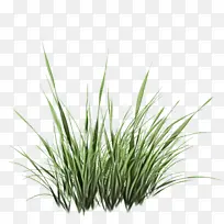 水彩画 颜料 湿墨-空若网 水彩画 颜料 湿墨-空若网