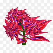 虚拟现实 化身 开花植物-空若网 虚拟现实 化身 开花植物-空若网