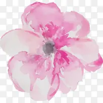 Ë®²Ê» ÑÕÁÏ ÊªÄ«-¿ÕÈôÍø Ë®²Ê» ÑÕÁÏ ÊªÄ«-¿ÕÈôÍø