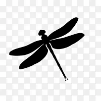 昆虫 蜻蜓 金色蜻蜓-空若网 昆虫 蜻蜓 金色蜻蜓-空若网