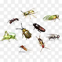 ���� ���� �۷�-������