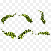 树枝 纸 植物茎-空若网 树枝 纸 植物茎-空若网