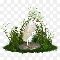 �� ��ľ ֲ��-������