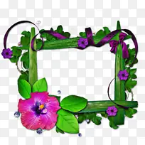 博客 周年纪念 生日-空若网 博客 周年纪念 生日-空若网