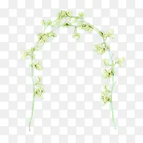 卡通 树枝 植物茎-空若网 卡通 树枝 植物茎-空若网