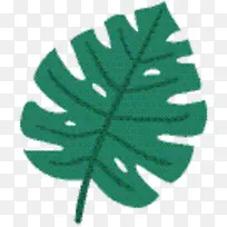 叶子 绿色 树-空若网 叶子 绿色 树-空若网