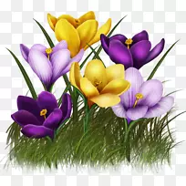 �����廨����-���컨-������