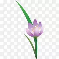 ����ֲ���϶�����޹�²�-���컨-������