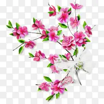 花卉设计 切花 植物茎-空若网 花卉设计 切花 植物茎-空若网