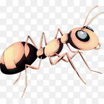 ²¨ÆÕÒÕÊõ ¸´¹Å À¥³æ-¿ÕÈôÍø ²¨ÆÕÒÕÊõ ¸´¹Å À¥³æ-¿ÕÈôÍø