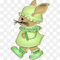 博客 两栖动物 网络-空若网 博客 两栖动物 网络-空若网