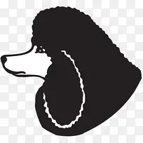 ��ֽ ���Ȯ �������ض�ţȮ-������